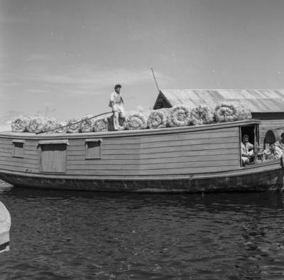 Palafitas flutuantes