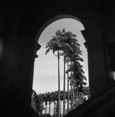 Vista tomada do interior do casarão do Parque Lage