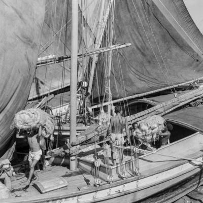 Homens descarregando juta