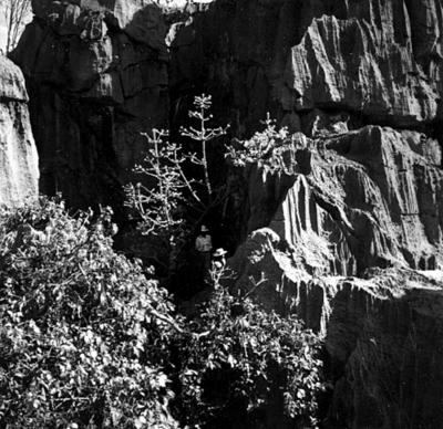 Romeiros no Morro do Bom Jesus