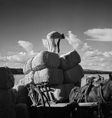 Trabalhadores descarregando barco