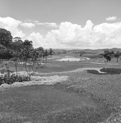 Residência de Olivo Gomes, projeto dos arquitetos Rino Levi, Roberto Cerqueira César e Burle Marx