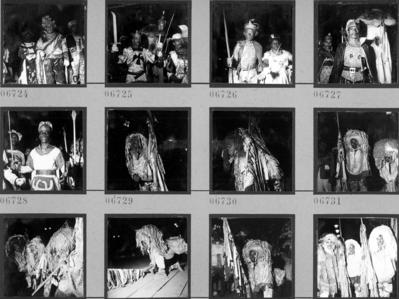 Destaques no desfile de agremiações do carnaval pernambucano