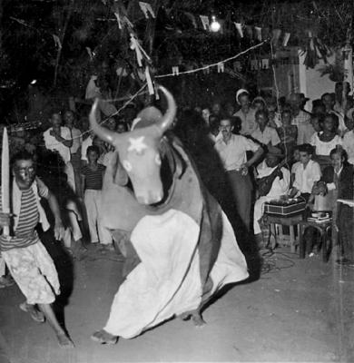 Cavalo Marinho, festa popular