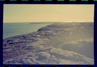 Viagem com a bióloga Livia Monami para registrar a caça da baleia branca