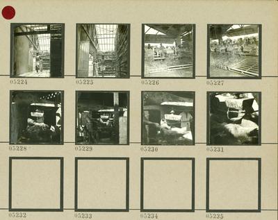 Extração e produção da Carnaúba