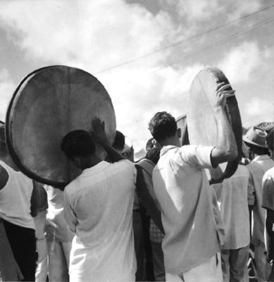 Bumba meu boi, festa popular
