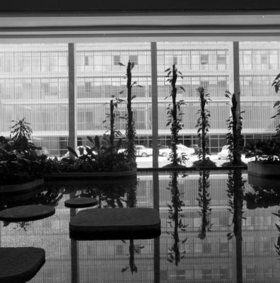 Palácio dos Arcos ou Palácio Itamaraty