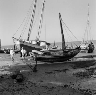 Bumba meu boi, festa popular