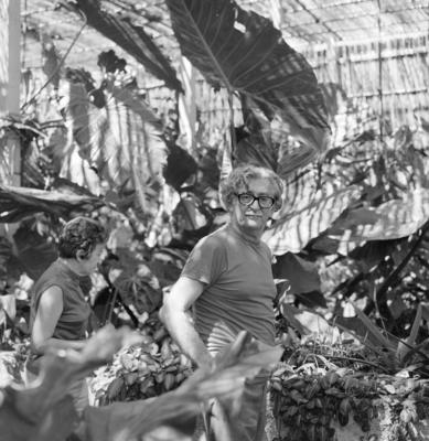 Roberto Burle Marx no Sítio Burle Marx