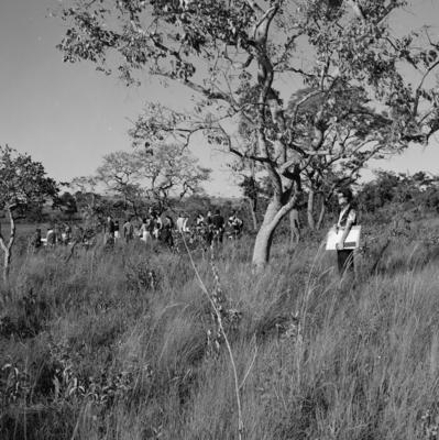Estudantes da Universidade de Brasília